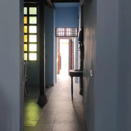 La Ballena Gris * Los Silos